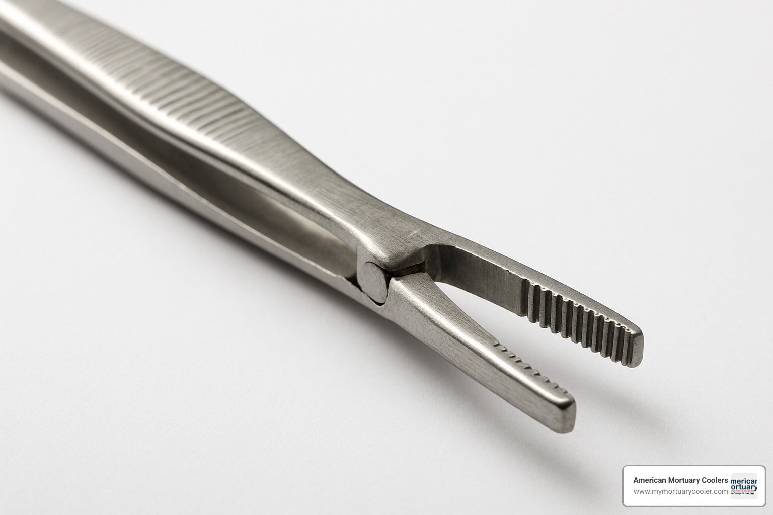 Beginner's Guide to Toothed Forceps - American Mortuary Coolers & Equipments Beginner's Guide to Toothed Forceps - American Mortuary Coolers & Equipments